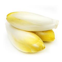 Endive - Chicory - Chicon - Witloof