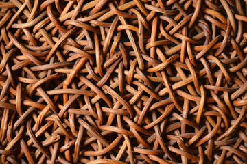 Rattan pattern