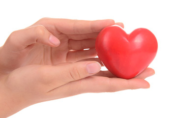 heart in human hands