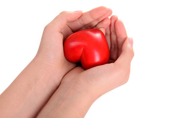 heart in human hands