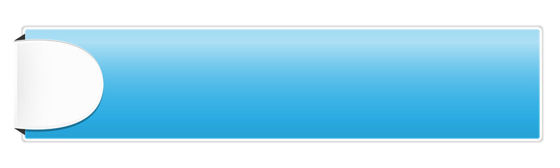 the blank glossy button