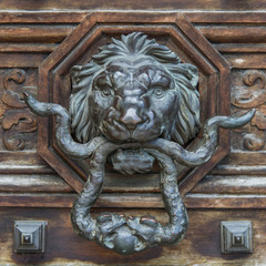 Baroque style lion door knob
