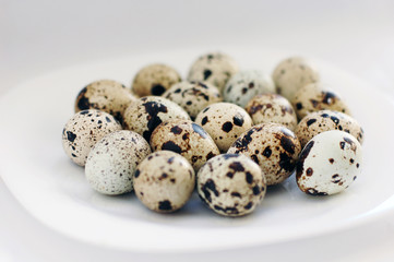 Quail eggs on a white plate
