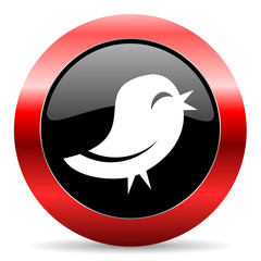 twitter icon