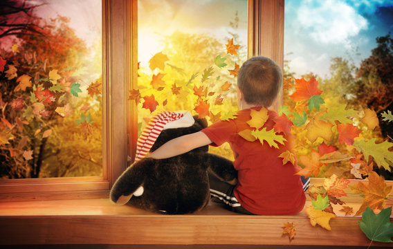 Little Child Watching Fall Leaves in Window