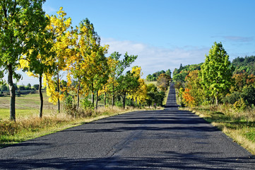 Fototapeta na wymiar Asfaltowa droga wśród drzew z liśćmi w kolorach jesieni