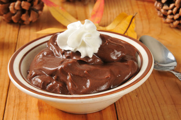 Gourmet chocolate pudding