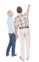 Senior Couple Pointing