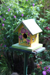 cute bird house