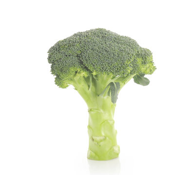 Broccoli Isolated