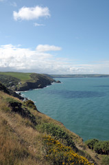 Coastal path above Llangrannog. Cardigan Bay