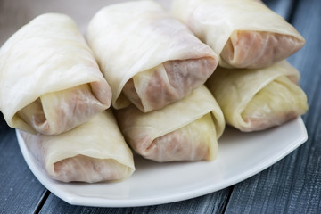 Uncooked stuffed cabbage, close-up, horizontal shot