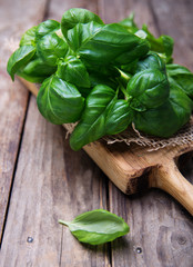 Fresh leaves of basil on a old wooden table