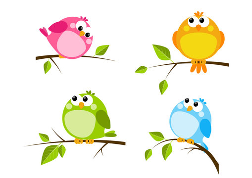 Set of cute color birds