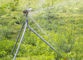 sprinkler irrigation running