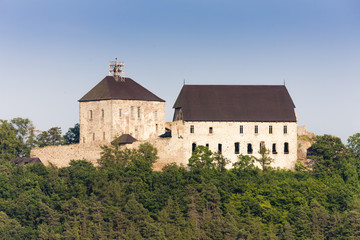 Fototapeta na wymiar Tocnik castle, Czech Republic