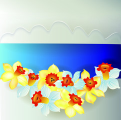 Fototapeta na wymiar board from daffodils