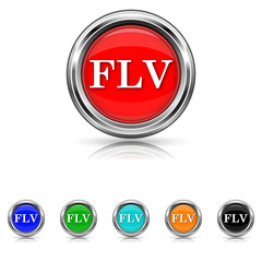 FLV icon - six colours set