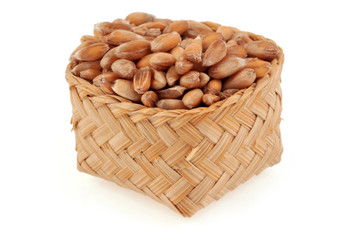 Les graines d'épeautre