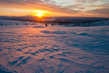 Fotobehang sunset in the tundra © Ekaterina Balashova