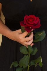woman holding red rose