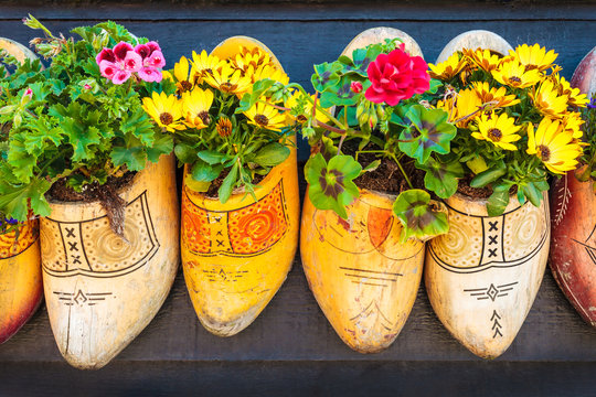 Dutch old wooden clogs with blooming flowers