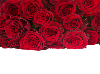 border of fresh red   roses pile