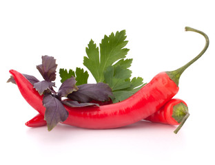 Hot red chili or chilli pepper and aromatic herbs leaves still l