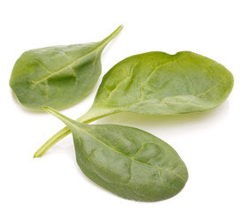 Spinach vegetables   cutout
