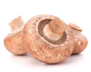 Brown champignon mushroom