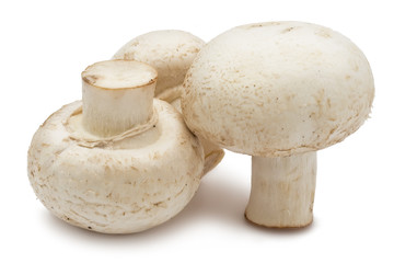 Champignon mushrooms