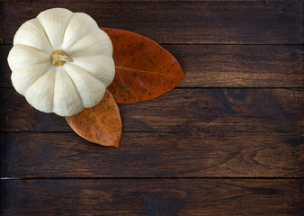 Small shiny pumpkin on wooden background