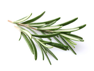 Fresh rosemary © Dionisvera