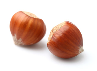 Hazelnuts in closeup