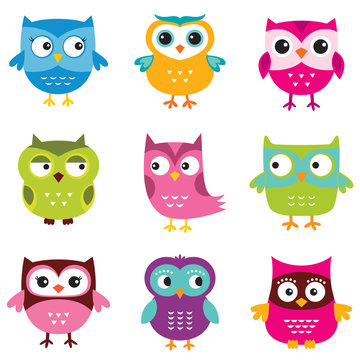 Owls set
