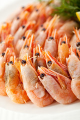 Shrimps