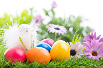 Bunte Osterwiese