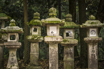 Japanese Stone Lanterns in Nara, Japan