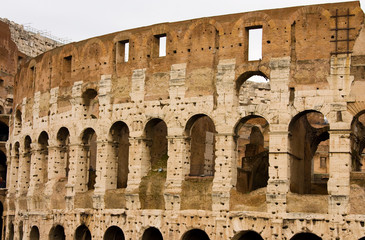 Fototapeta premium The colleseum, Rome, Italy.