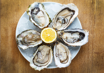 Fresh oysters in a white plate with ice and lemon - Powered by Adobe