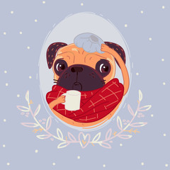 Pug sick