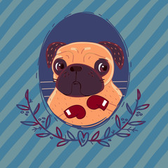 Pug-boxer