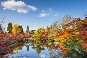 Obraz premium Kyoto, Japan at Eikando Temple Garden