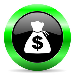 money icon