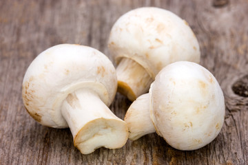 Champignon on the wooden background