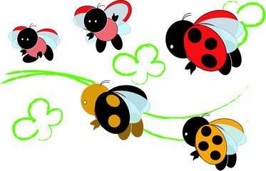 ladybugs