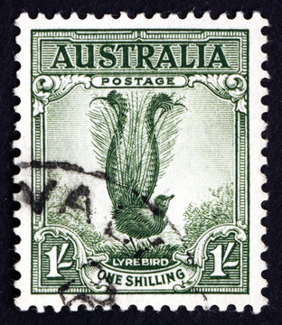 Postage stamp Australia 1941 Male Superb Lyrebird, Songbird