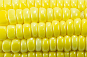 Close up corn