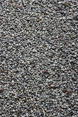 poppy seeds background