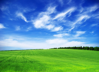 green field
